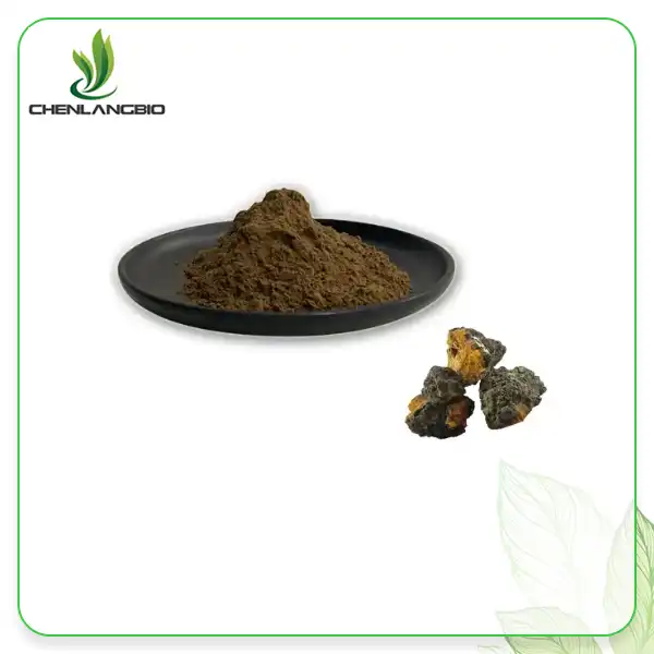Chaga Mushroom Extract Powder Chaga Mushroom Extract Powder
